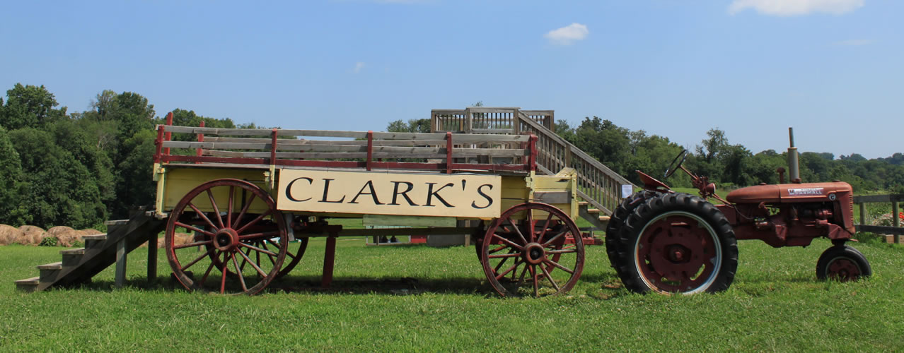 Clark tractor and wagon