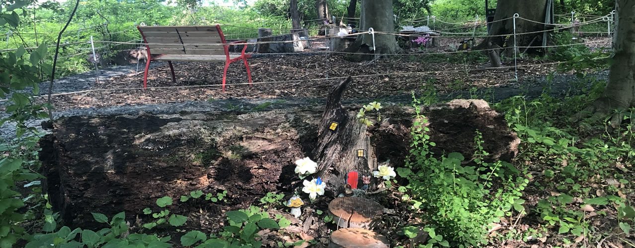 Fairy Forest at Clark's Elioak Farm - Walk through our new Fairy Forest and see where the fairies live