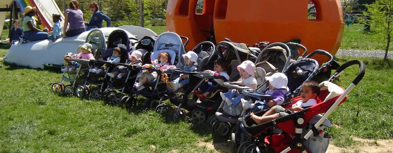 Visiting strollers at the farm