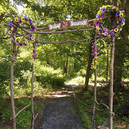 Fairy Forest Entrance