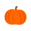 Pumpkin Icon